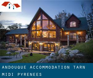 Andouque accommodation (Tarn, Midi-Pyrénées)