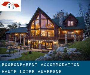 Bosbonparent accommodation (Haute-Loire, Auvergne)