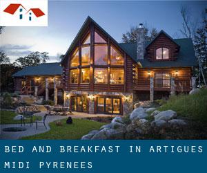 Bed and Breakfast in Artigues (Midi-Pyrénées)